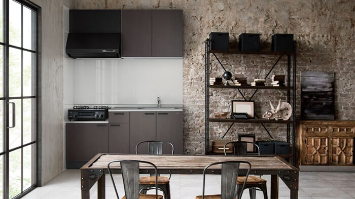 タカラスタンダード アピスカ